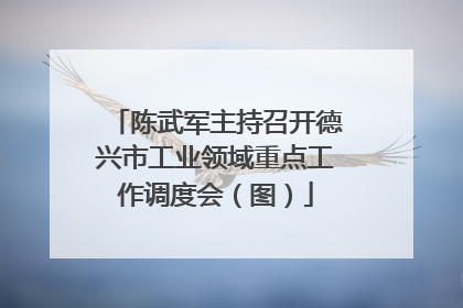 陈武军主持召开德兴市工业领域重点工作调度会（图）